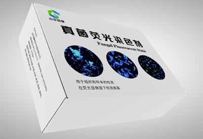 真菌荧光染色剂广泛应用于临床为真菌病的诊疗提供巨大便利
