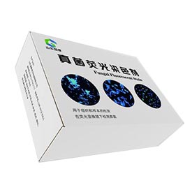 真菌荧光染色液