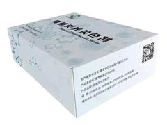 真菌荧光快速染色液