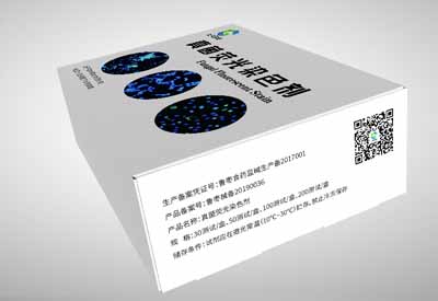 真菌染色剂厂家解读念珠菌感染的主要原因念珠菌能引起哪些疾病