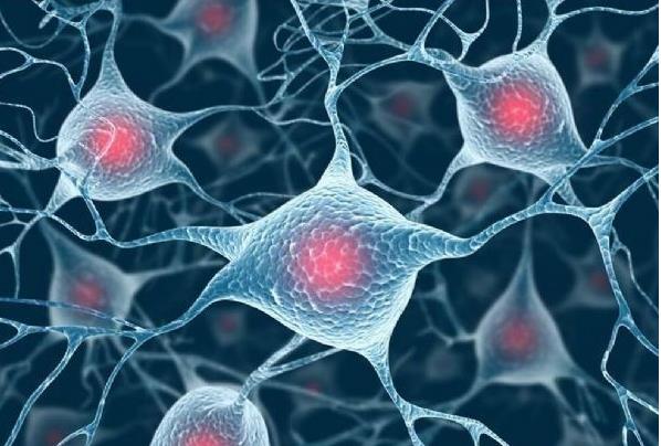 ZR荧光染色液解析引起炎症的病因和炎症分类有哪些?